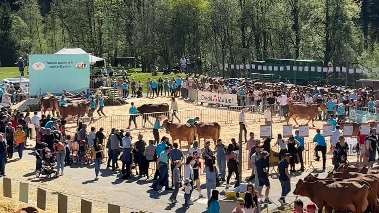 L&rsquo;agriculture &agrave; l&rsquo;honneur en Tarentaise 🐄🐮