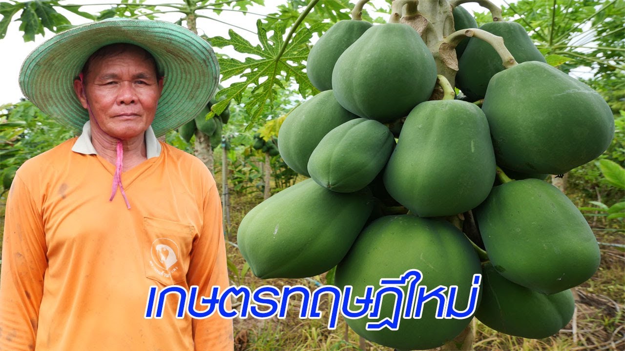 สวนผสมผสาน เกษตรทฤษฎีใหม่