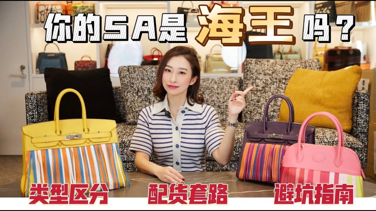 你真的懂你的SA嗎？愛馬仕SA的類型區分/配貨套路/避坑指南 [ENG SUB]