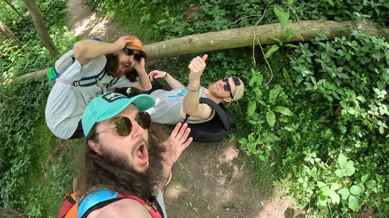 Getting Lost In A Forest In Kent!