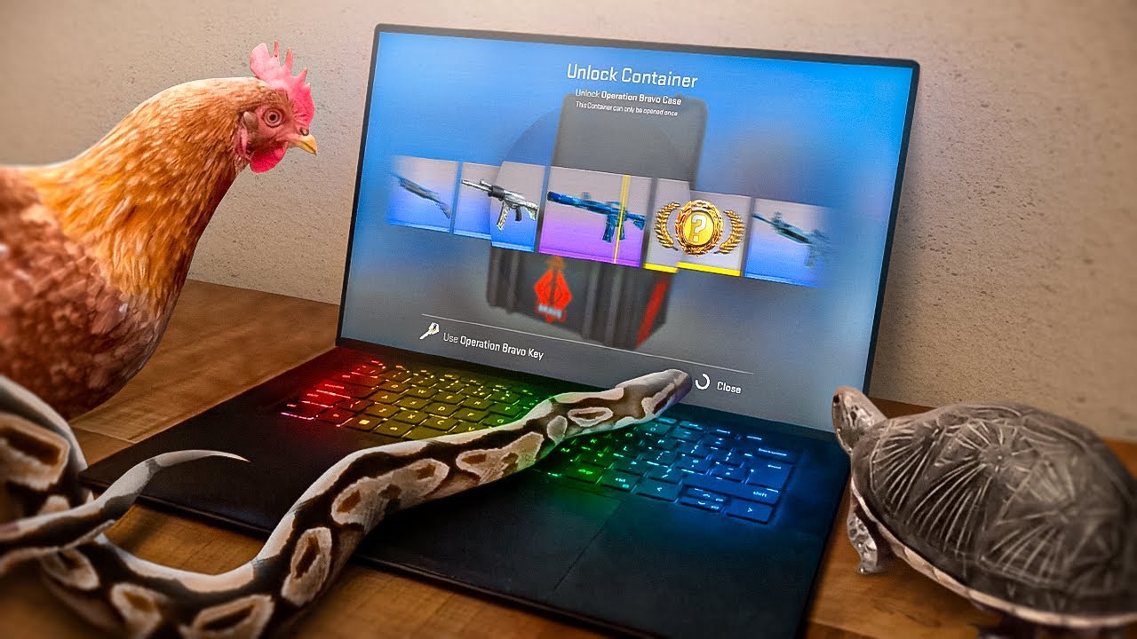 I Let 15 Animals Open CS:GO Cases