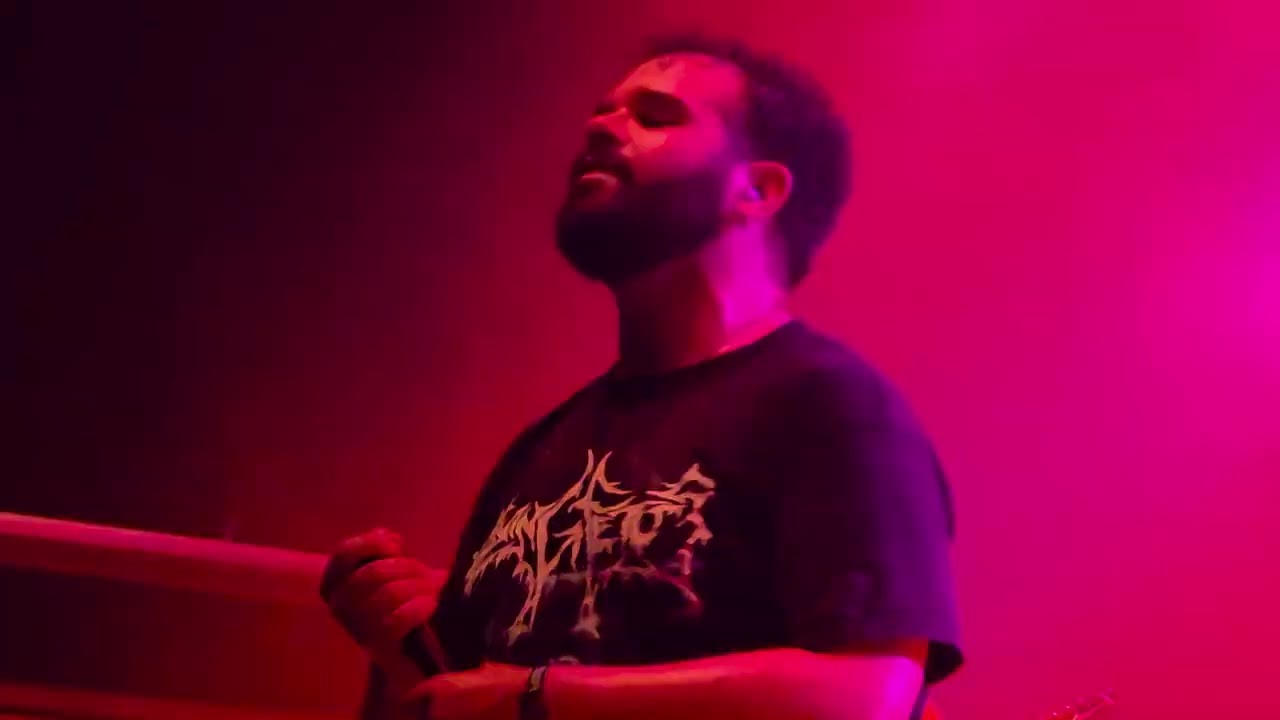 DEFEATED SANITY [ Brutal Assault 2025 ]