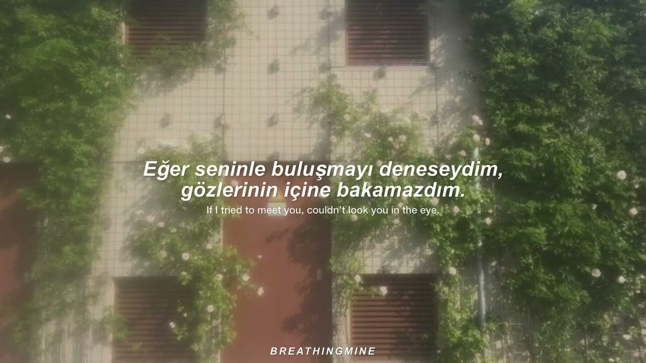 Gracie Abrams - Cedar (Türkçe Çeviri + Lyrics)