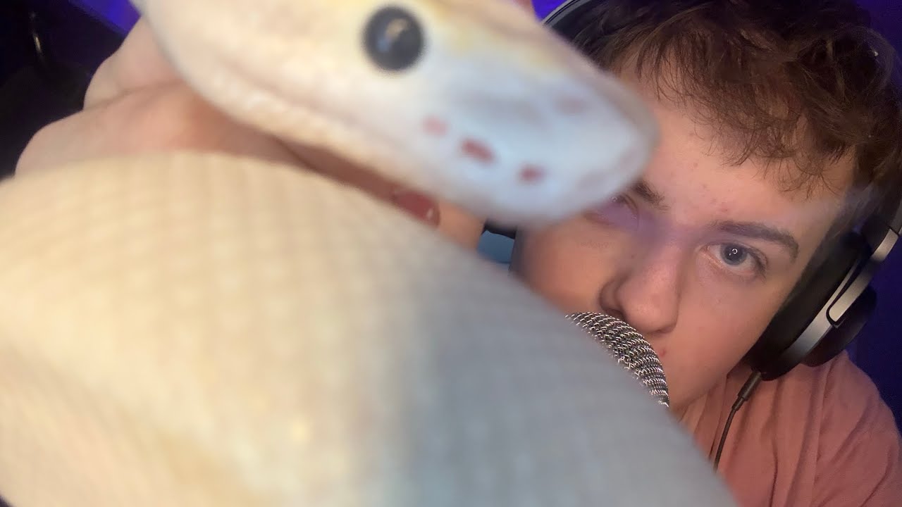 ASMR with my pet snake!