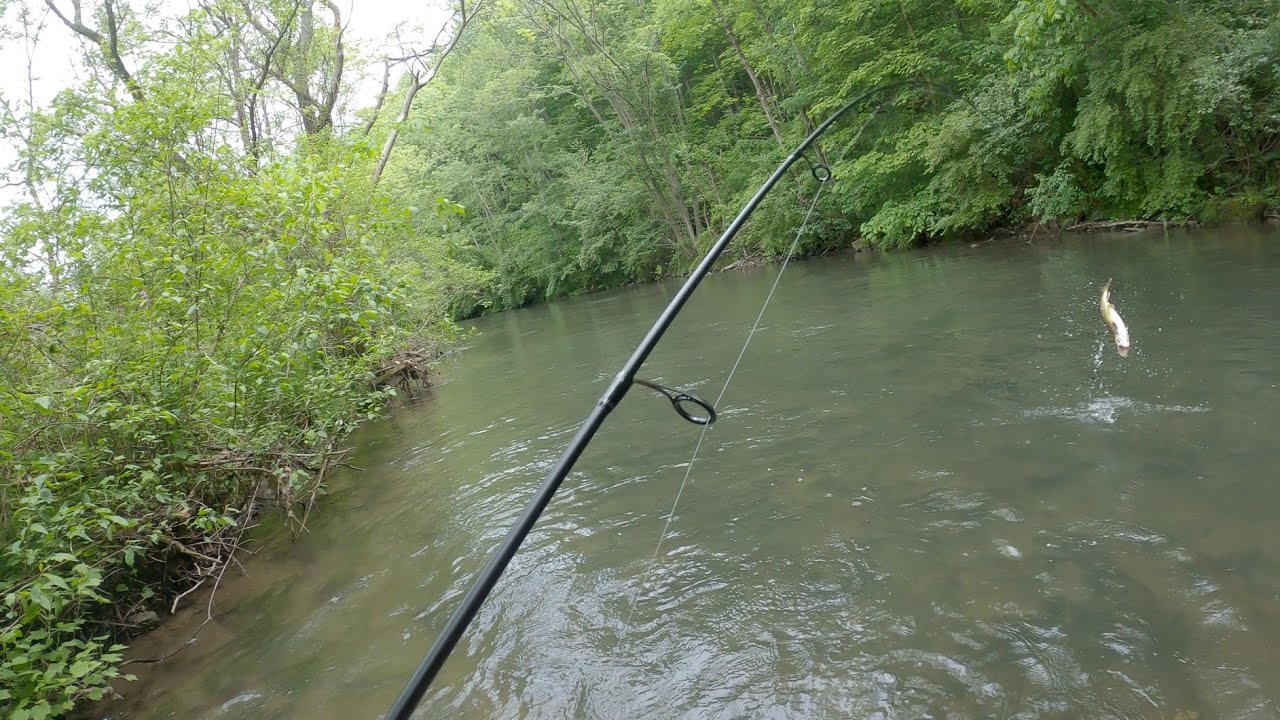 Day 1 Testing Single Hooks vs Treble Hooks With Some Big Browns Caught