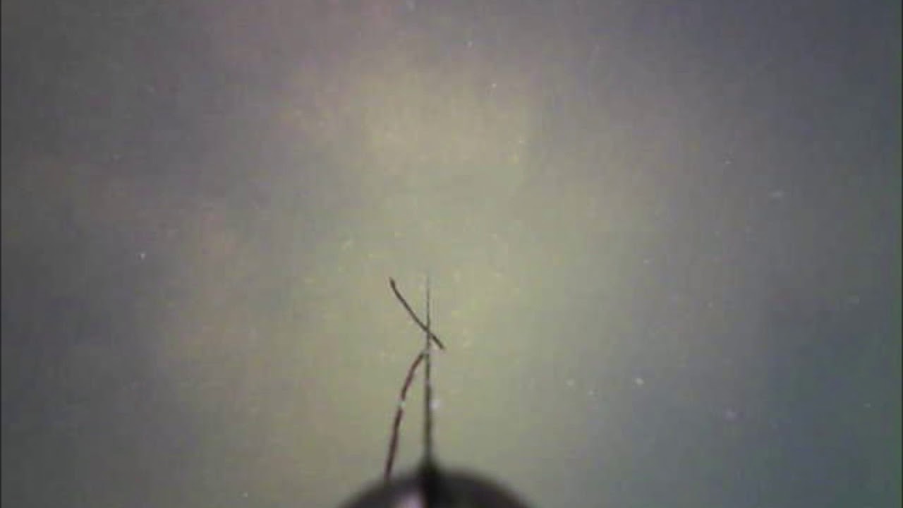 Vidéo Fishspy