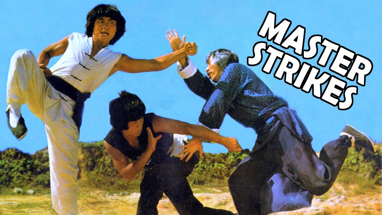 Wu Tang Collection - Master Strikes (Widescreen)