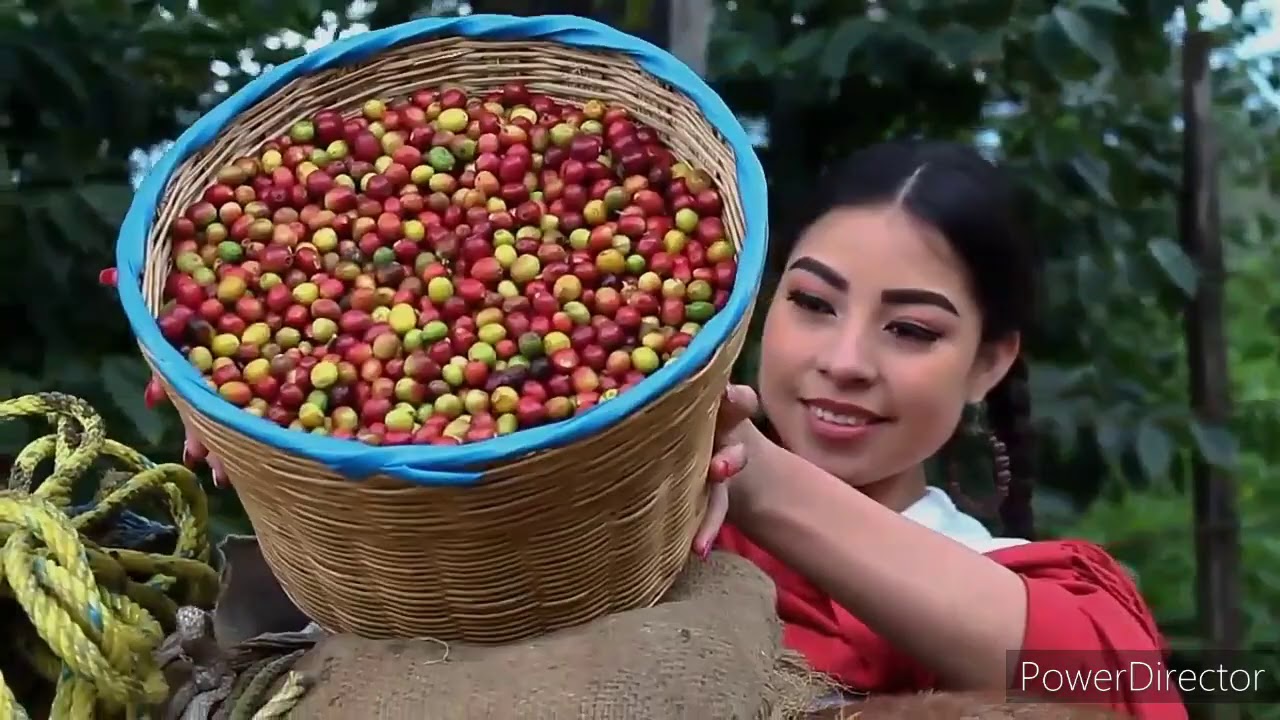 huapango tlacuilotepec Puebla