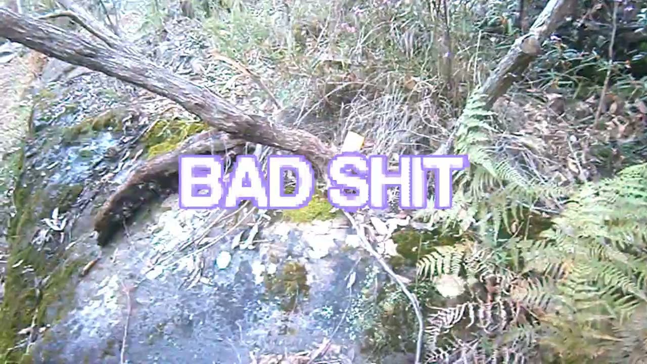 LXCHY - FLOOD IT (snippet) 2025