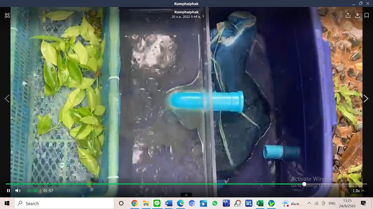 How to make a grease trap for using in your household.