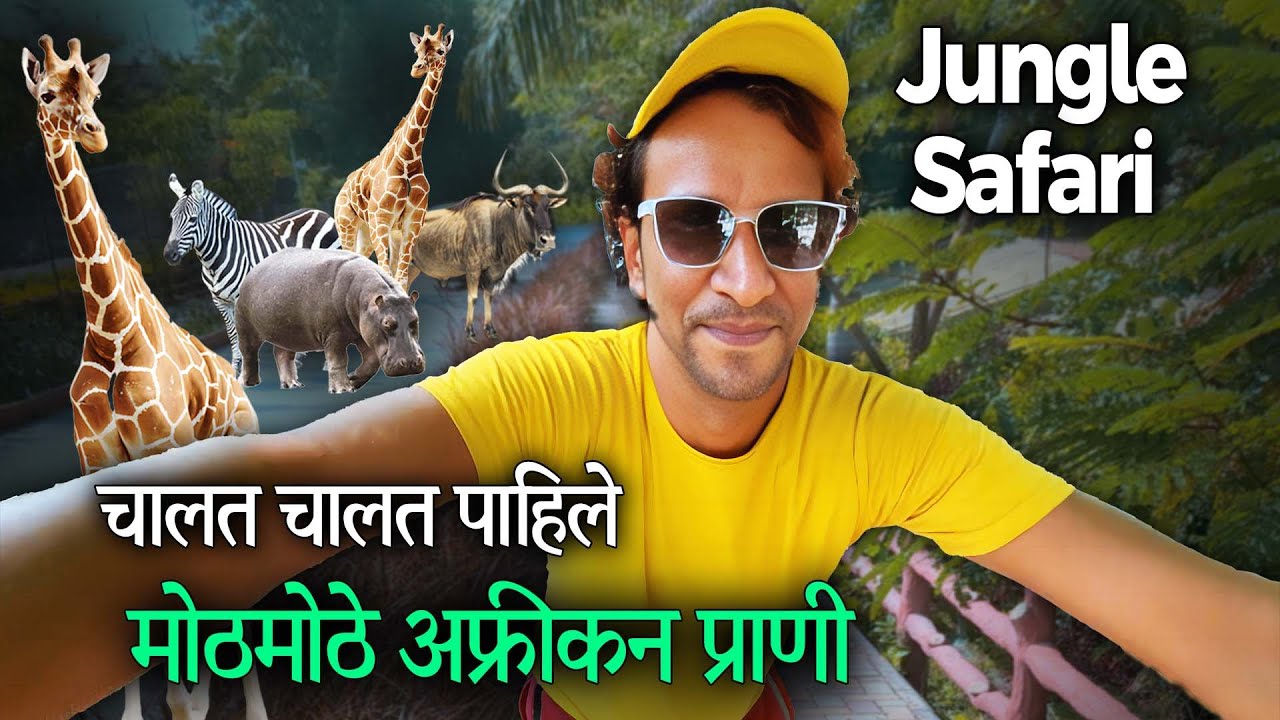 चालत पाहिले मोठमोठे अफ्रीकन प्राणी | Sardar Patel Zoological Park | Wildlife Adventure In Gujrat