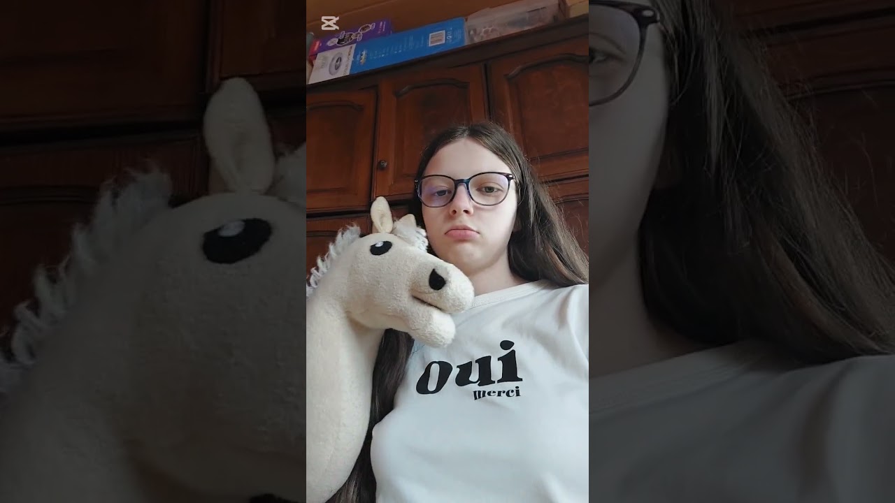 Présentation de mes hobby horse