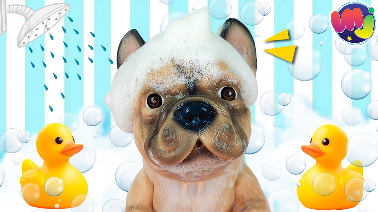 🐶 BA&Ntilde;O a mi PERRITO ABANDONADO en la BA&Ntilde;ERA con MUCHAS BURBUJAS 🛁 🫧