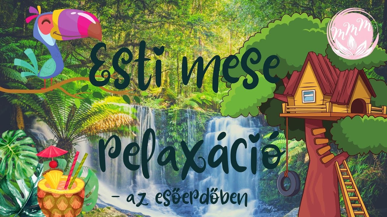 Esti mese relax&aacute;ci&oacute; I Az esőerdőben