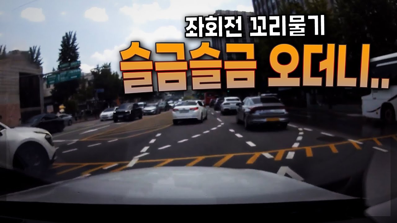 24828회. 직진신호라서 교차로 통과하는데 옆에 멈춰있던 차가 스르륵?