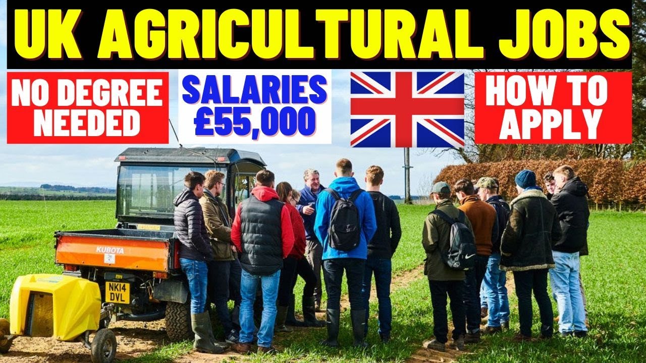 UK Agricultural Jobs With Visa Sponsorship 2023: UK Work Visa: Uk Work Permit: How To Apply