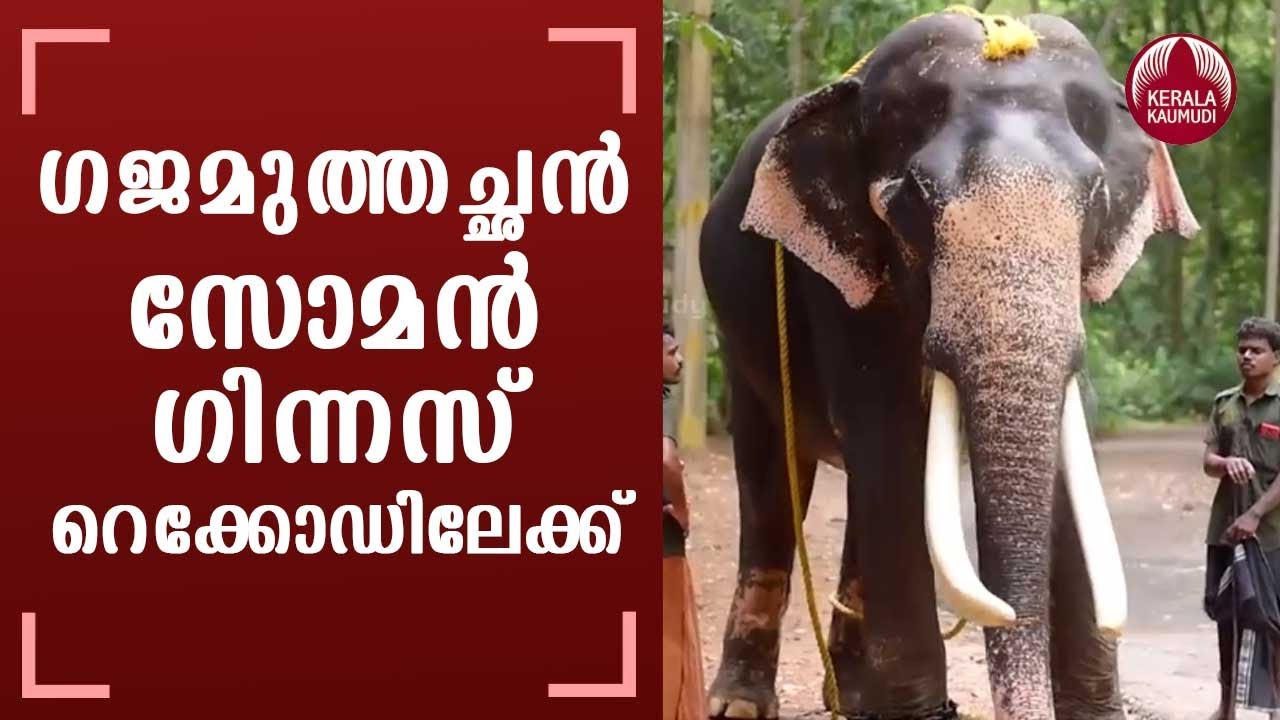 Konni Soman set to break Guinness World Record for the oldest elephant in the world | Keralakaumudi