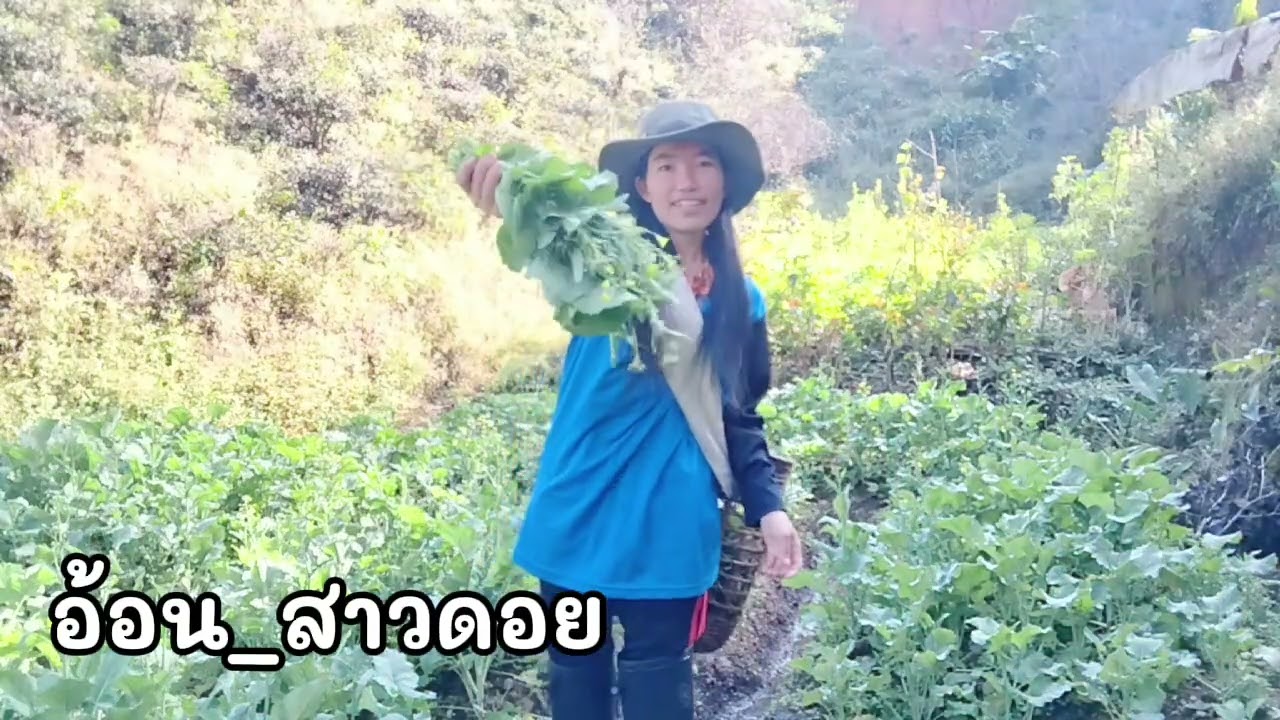 มาช่วยเก็บผัก🥬🥦กันค้าทุกคน #ฝากกดติดตามด้วยนะครับ #สาวดอย #ชนเผ่าอาข่า 