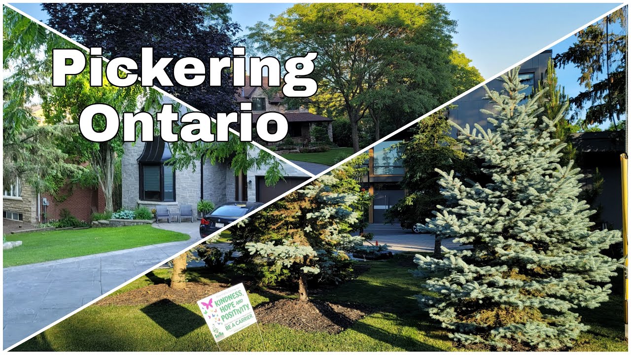 Walking in Pickering, Ontario ( Dyson Road and Rougemount Dr)