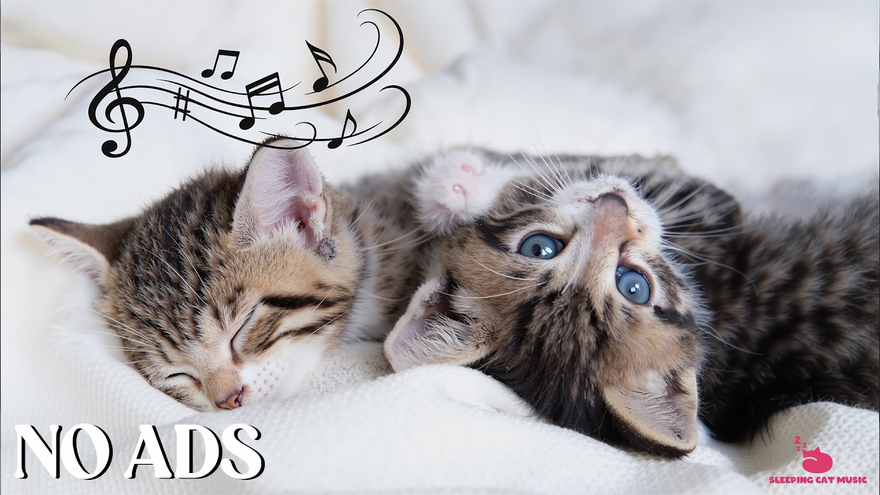 Healing Cat Music 🐾 Natural Sounds for Pet Relaxation and Deep Night Recovery From Daily Stress