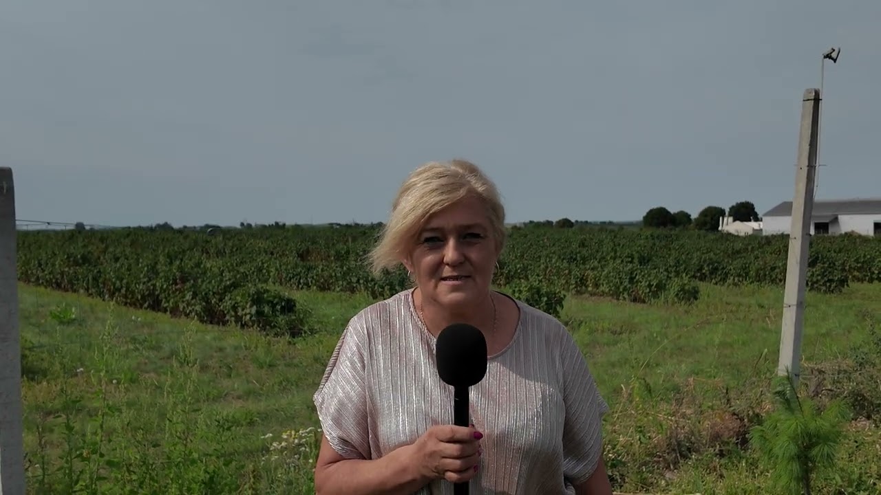 Jakie umiejętności zdobywają uczestnicy szkoleń w firmie Proinvest?