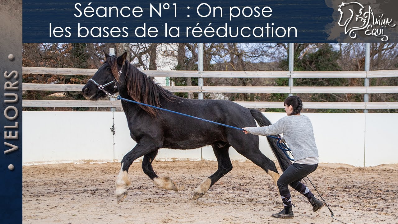 • VELOURS • Séance N°1 : On pose les bases de la rééducation