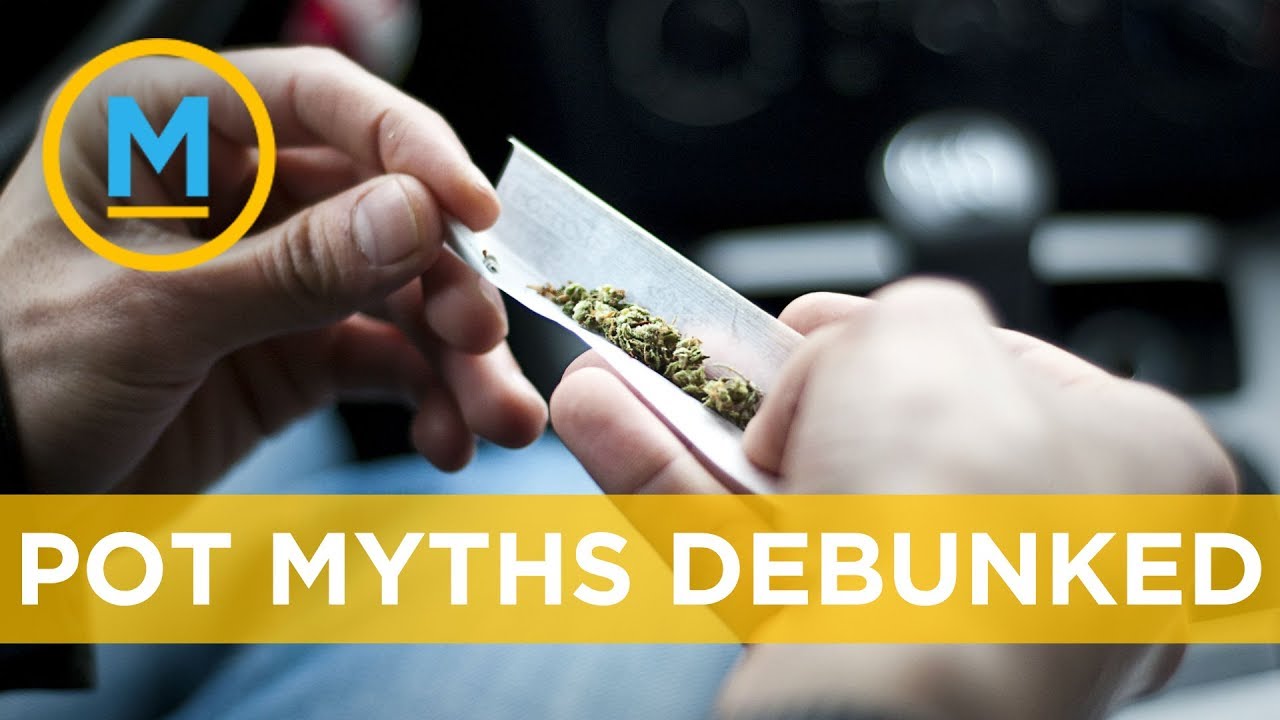 How marijuana actually impairs driving and other pot related myths debunked | Your Morning