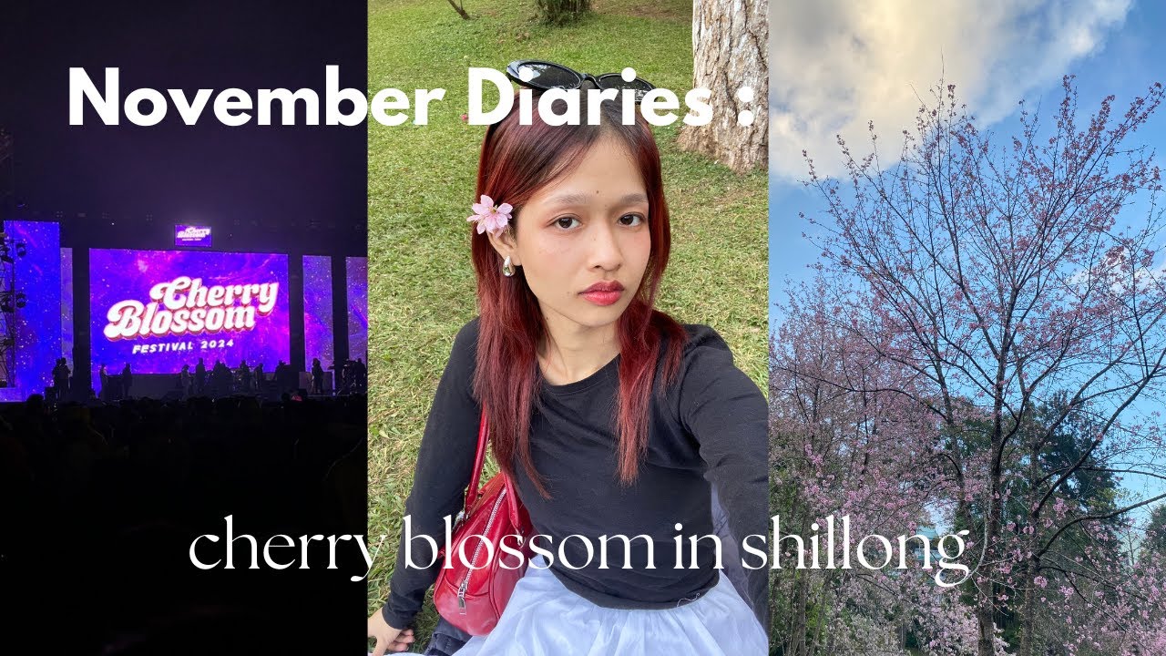 VLOG : cherry blossom festival 2024 🌸🎧, trip with friends,🎐concerts, cozy vlog🎏, fall diaries etc.
