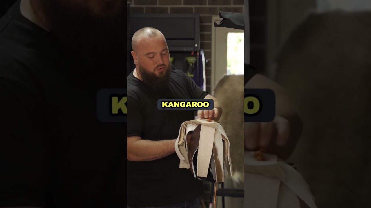 Ultimate Flirt Pole: Sheepskin, Kangaroo Hide, & Cowhide Fun!