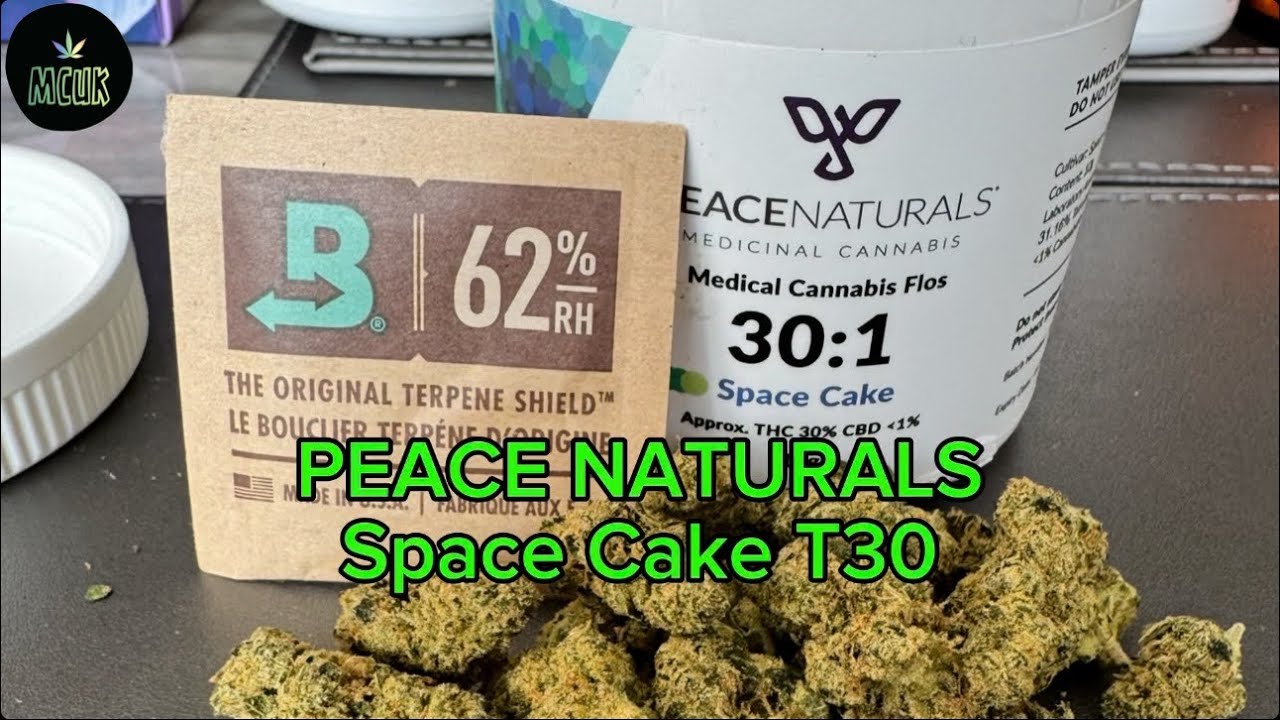 PEACE NATURALS Space Cake T30