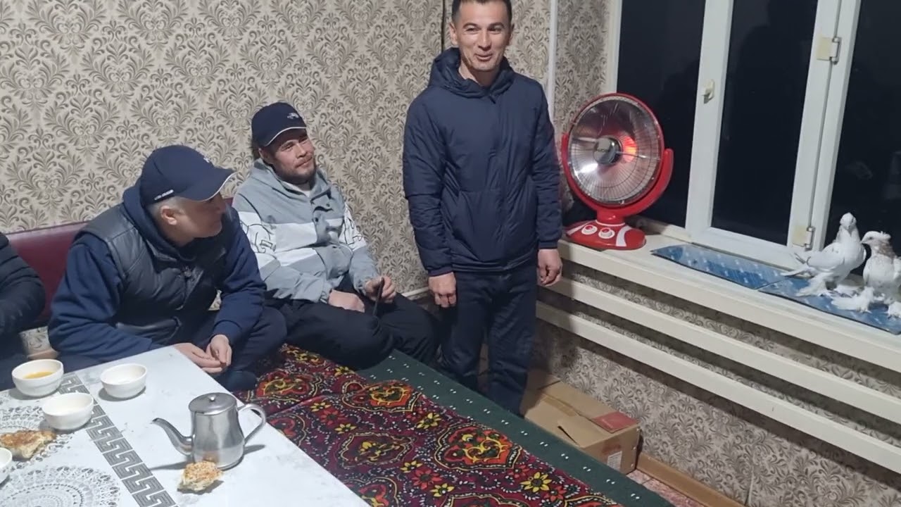 Узбекские голубы город Ош