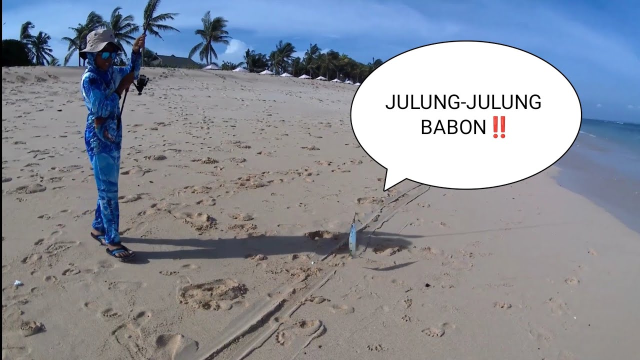 JULUNG-JULUNG BESAR-BESAR MENGGILA‼️(BUKAN KACANG-KACANG😁) ‼️ PANTAI GEGER‼️