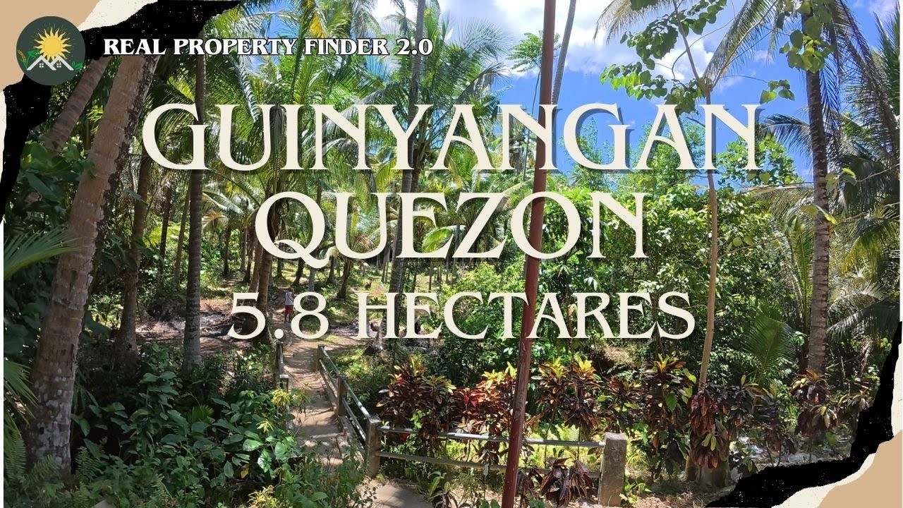 A7 - Property of Guinyangan | 5.8 Hectares | Good for Investment Kopra | Farmlot