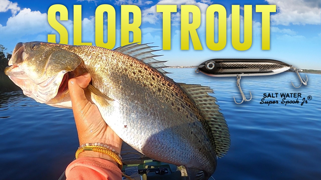 Tournament #15 SPECKLED TROUT - Jacksonville, FL Fishing