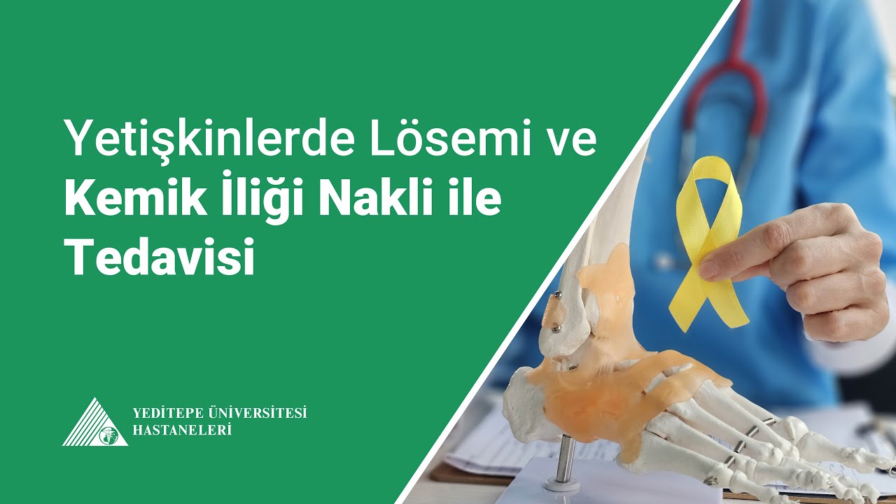Yetişkinlerde Lösemi ve Kemik İliği Nakli ile Tedavisi | Prof. Dr. Figen Atalay