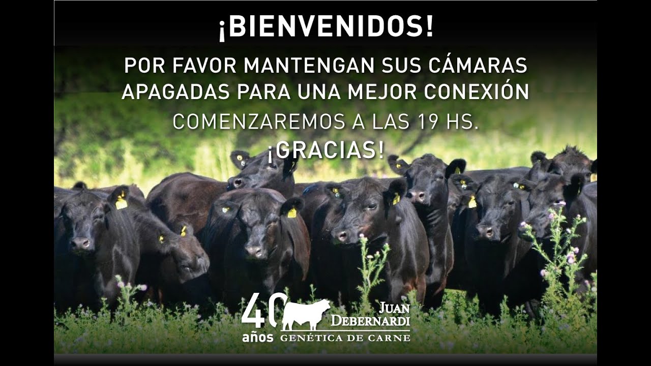 ANALIZANDO EL SISTEMAS DE PRODUCCIÓN DE DON PASTOR