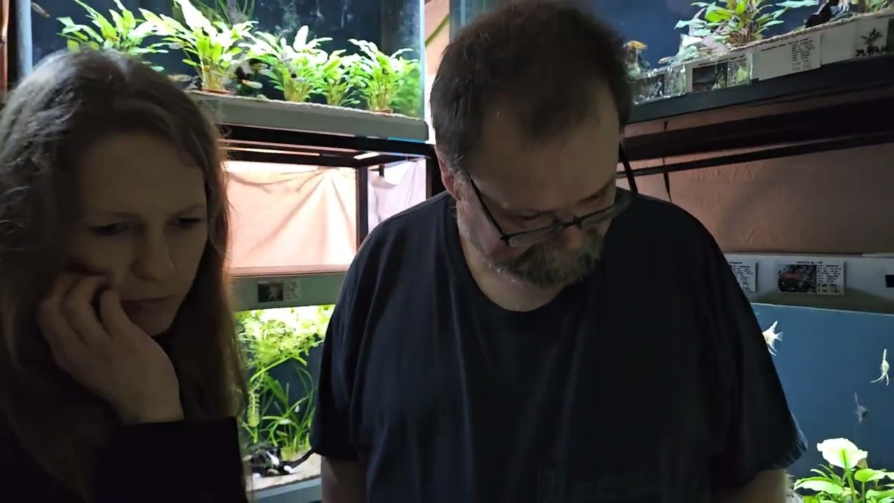 Fredagsfilm - Fisk, Blau Super Aquascaping og lidt mere om Vejle messen!