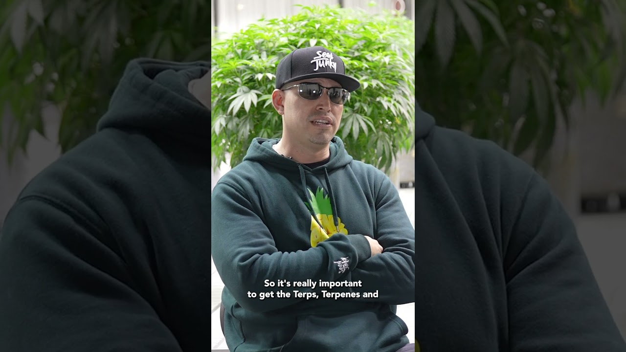 Mastermind Trulieve Collaboration: Modern Flower X Seed Junky Cannabis Launch!