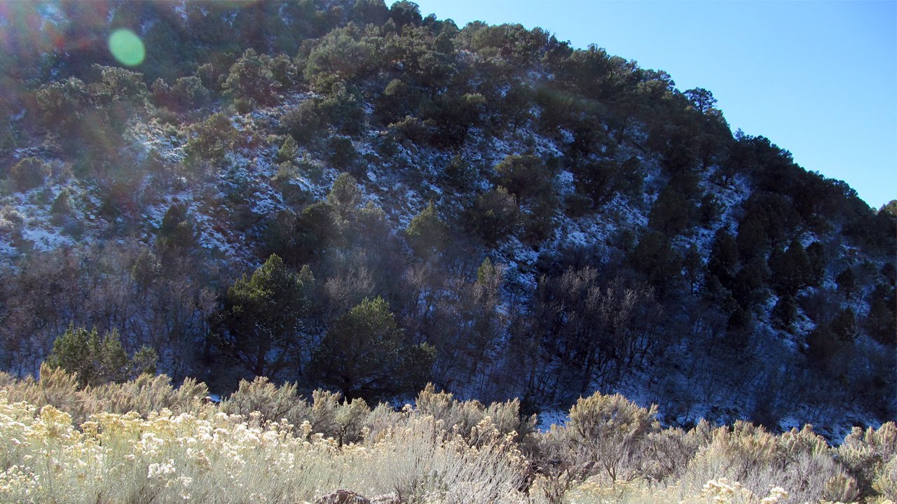 20 Acre Placer Gold Mining Claim on Historic Pinto Creek in Iron County Utah from the Department of
