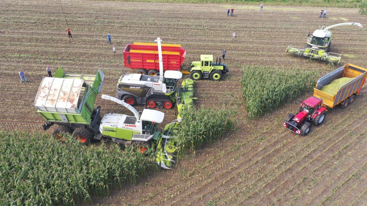 CLAAS JAGUAR 50 Year Self-Propelled Forage Harvesters - maishakselaar maïs corn