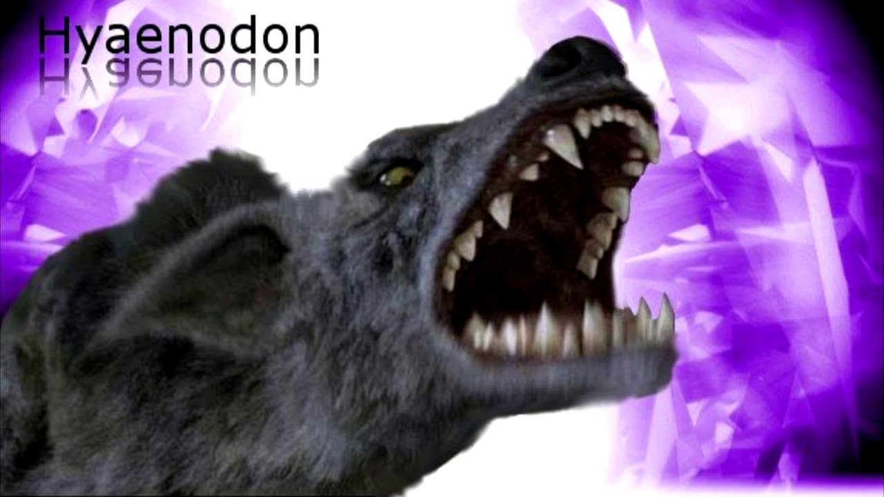 Top 5 predator mammals of the Cenozoic era-Part 2