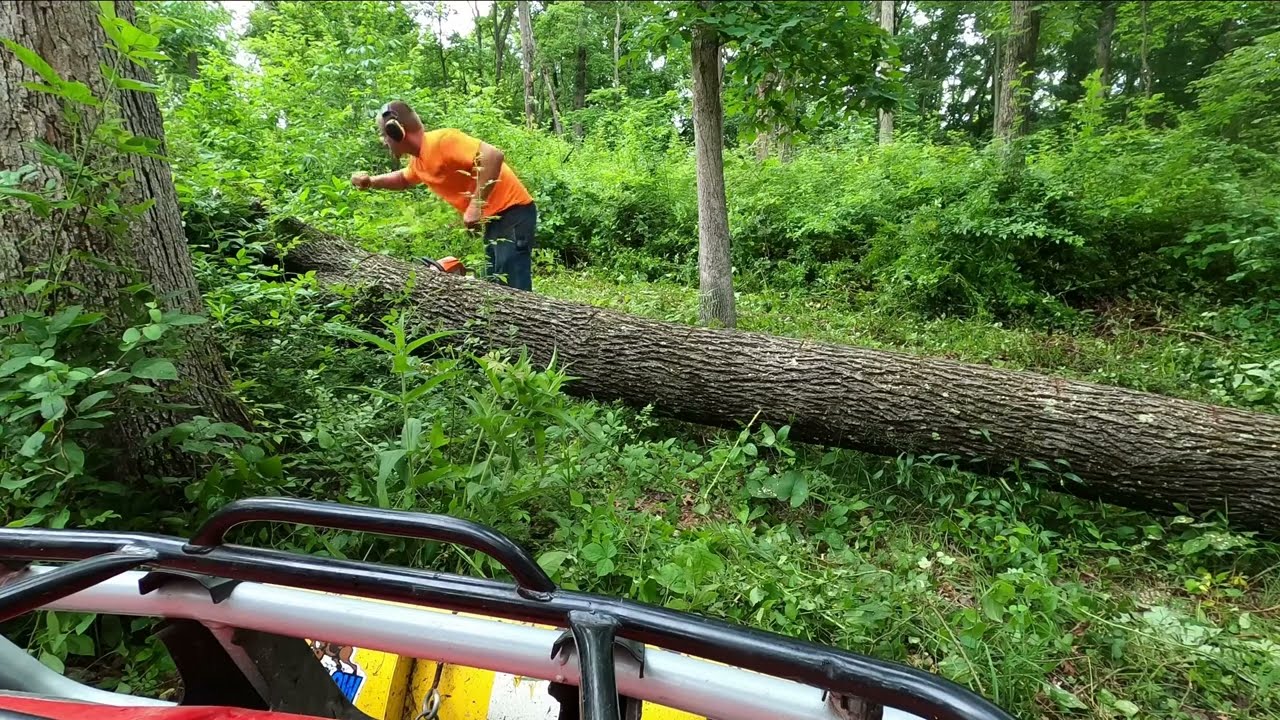 Cutting wood/plowing and hauling with atv