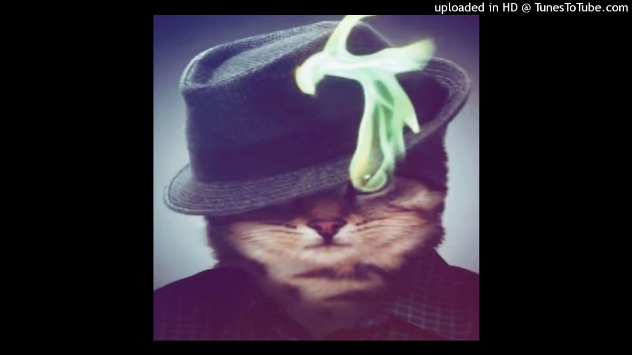 cat song