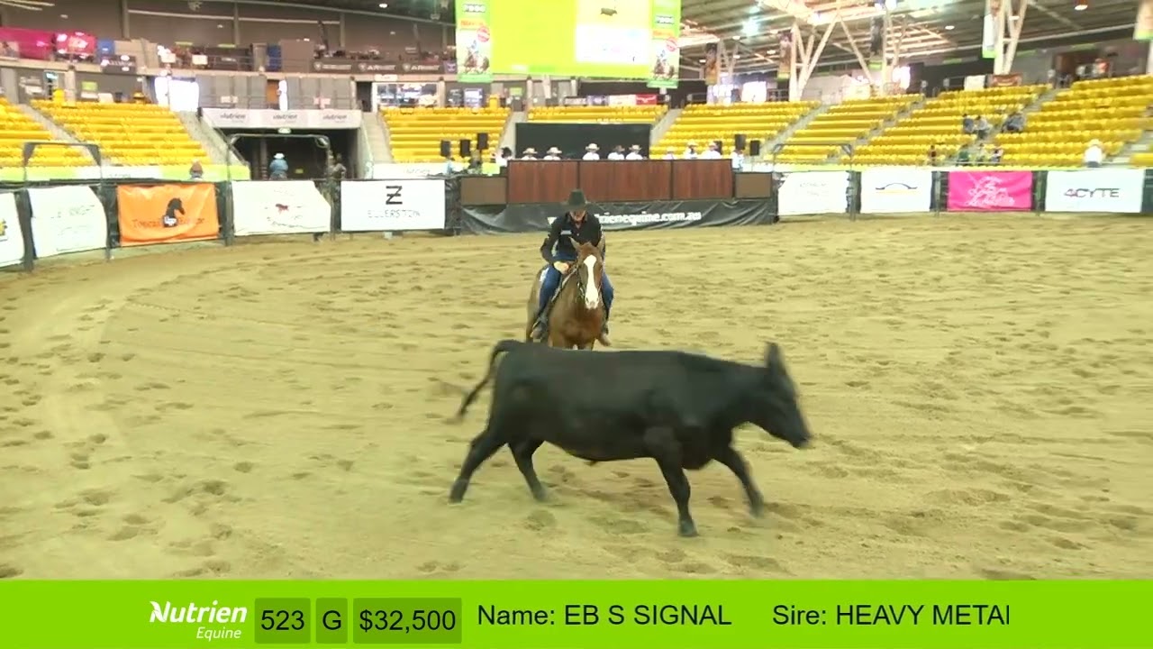 Lot 564 - 2024 Nutrien Classic