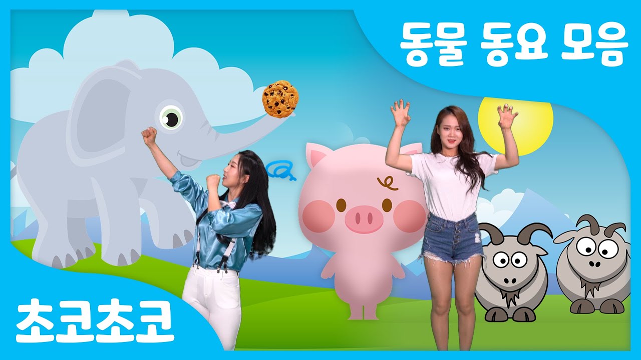 신나는 동물 동요 모음 + 아기돼지 삼형제,아기염소, 코끼리  | 율동동요 함께해요 | 인기동요 by 초코초코