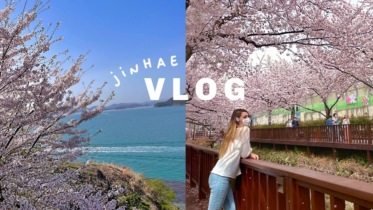 A Day in Korea Vlog 2021 🌸🎥🇰🇷 jinhae cherry blossom season