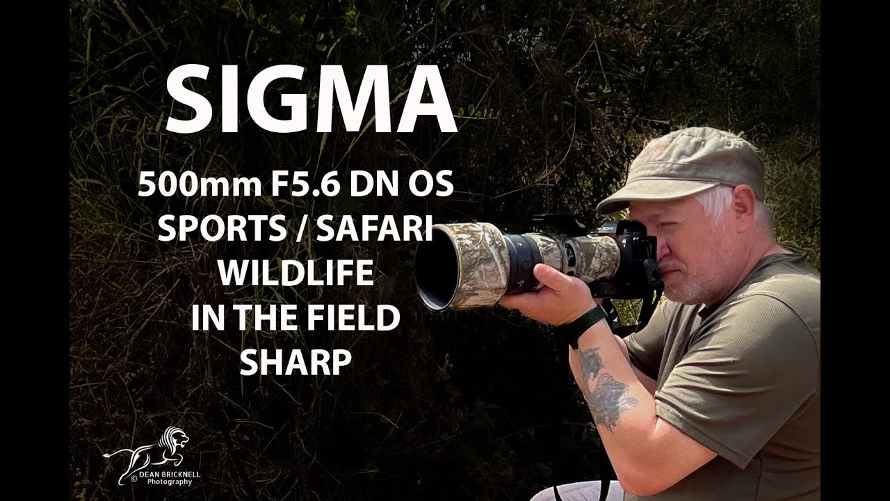 SIGMA  500mm F5.6 DN OS / S for sports or safari wildlife in the field test sunlight and dust