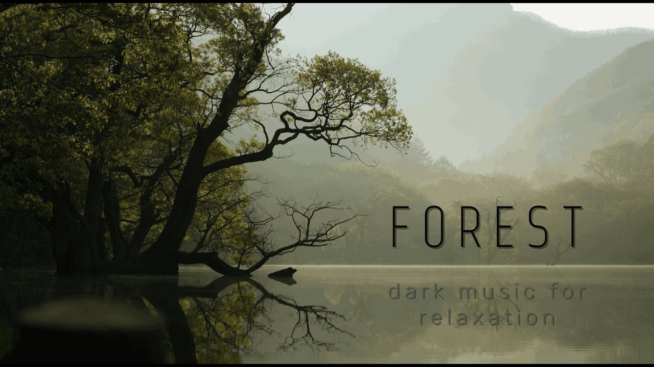 Relax music | Gloomy atmosphere of the forest
