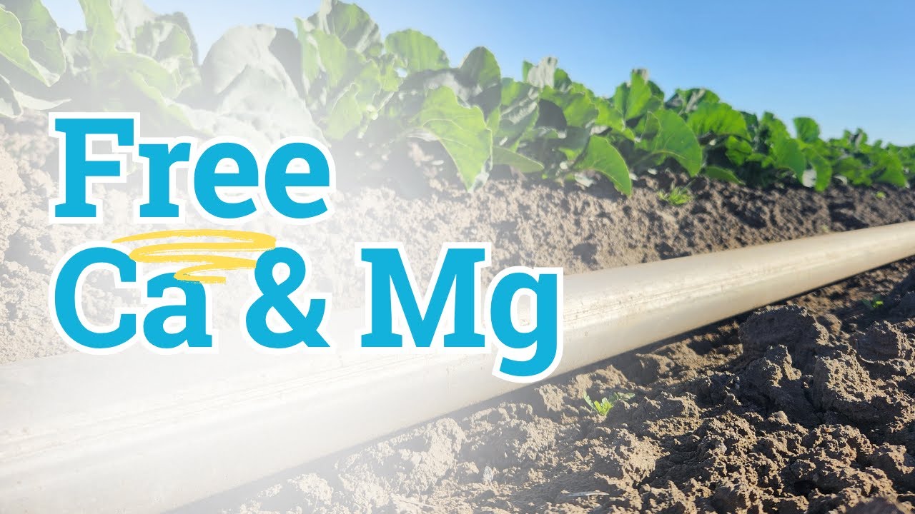 Agronomist Explains Carbonic Acid vs Sulfuric for Water pH Control | Eryn Gray