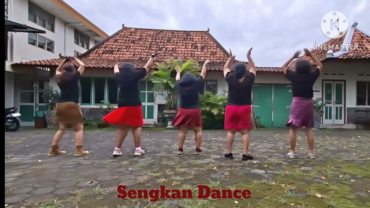 More Than I Can Say Bachata || Beginner || May Cho 